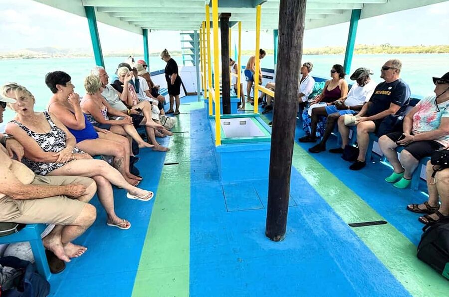 Tobago: Buccoo Reef Marine Park Glass Bottom Boat Tour - Who Should Book This Tour (and Who Might Skip It)
