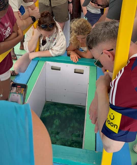 Tobago: Buccoo Reef Marine Park Glass Bottom Boat Tour - Should you book the Buccoo Reef glass-bottom boat tour?