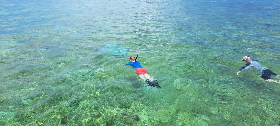 Tobago: Coral Reef Boat Tour with BBQ and Transfer - Nylon Pool lagoon: swim time, drinks, and water fun