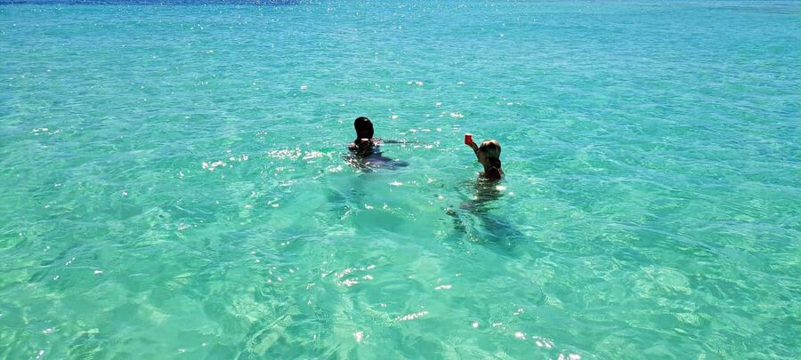 Tobago: Coral Reef Boat Tour with BBQ and Transfer - Transfers, timing, and how to prepare for a smooth 4-hour sea day