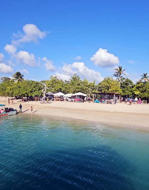 Tobago: Coral Reef Boat Tour with BBQ and Transfer - Who should book this, and who should skip it
