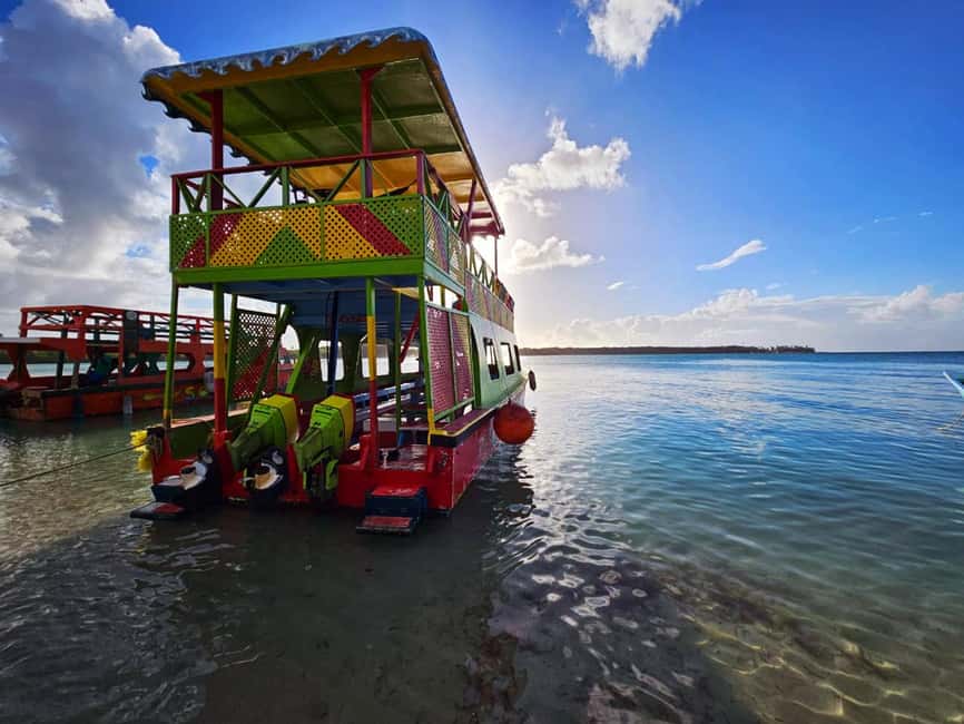 Tobago: Coral Reef Boat Tour with BBQ and Transfer - Coral Gardens snorkeling: what to focus on once you’re in