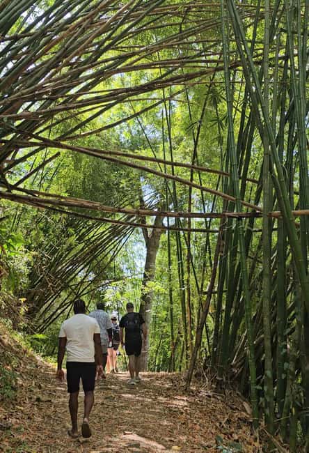 Tobago: Half Day Atlantic Coast Tour with Transfer - Key Highlights at a Glance