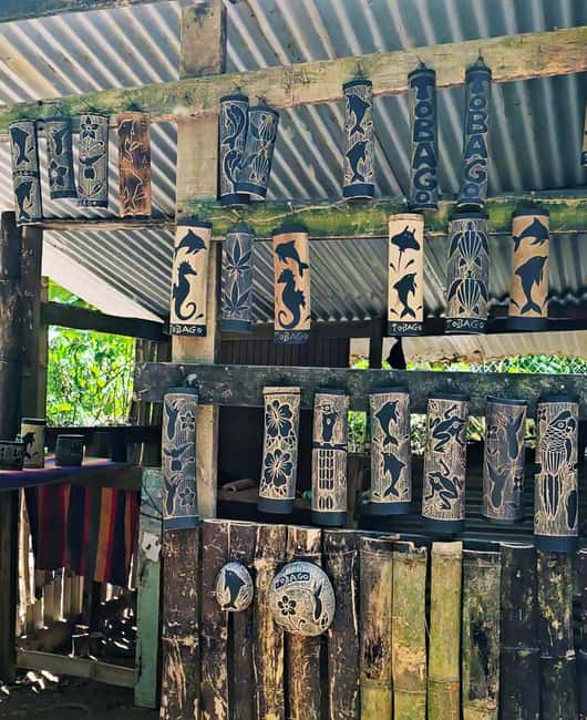 Tobago: Half Day Atlantic Coast Tour with Transfer - Atlantic Coast in 4 Hours, Without Feeling Crunched