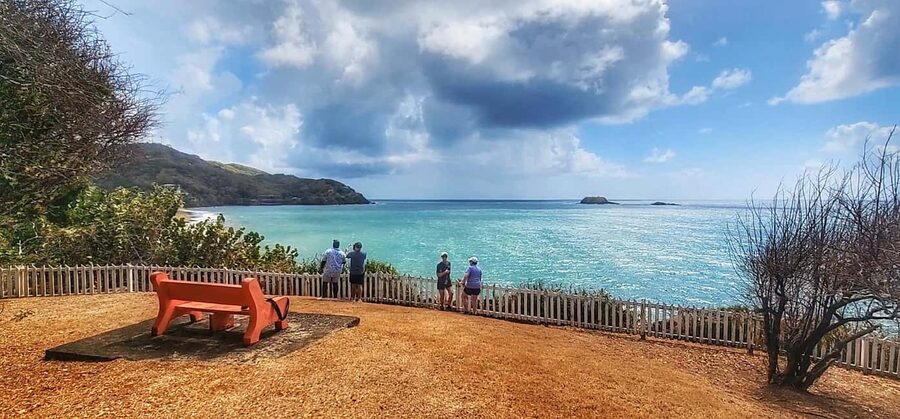 Tobago: Half Day Atlantic Coast Tour with Transfer - Guides on the Ground: Why the Experience Can Swing