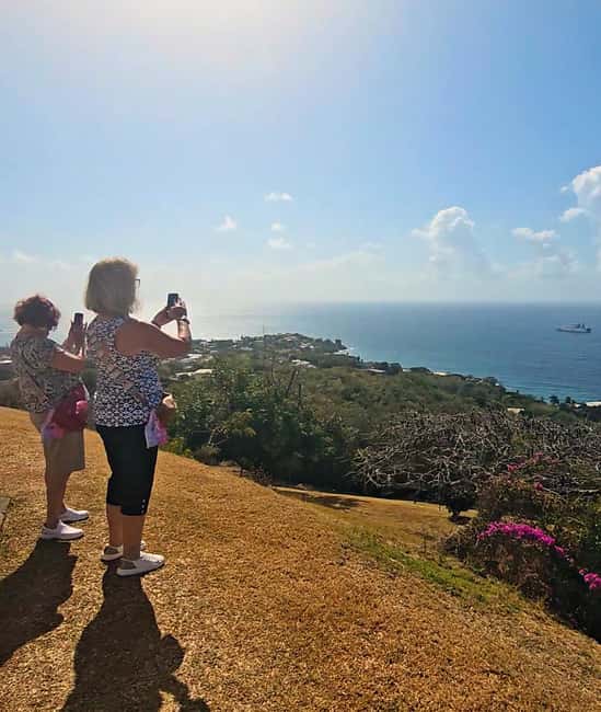 Tobago: Half Day Atlantic Coast Tour with Transfer - Who This Half-Day Atlantic Tour Fits Best