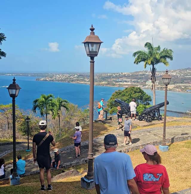 Tobago: Half Day Atlantic Coast Tour with Transfer - Should You Book This Tobago Tour?