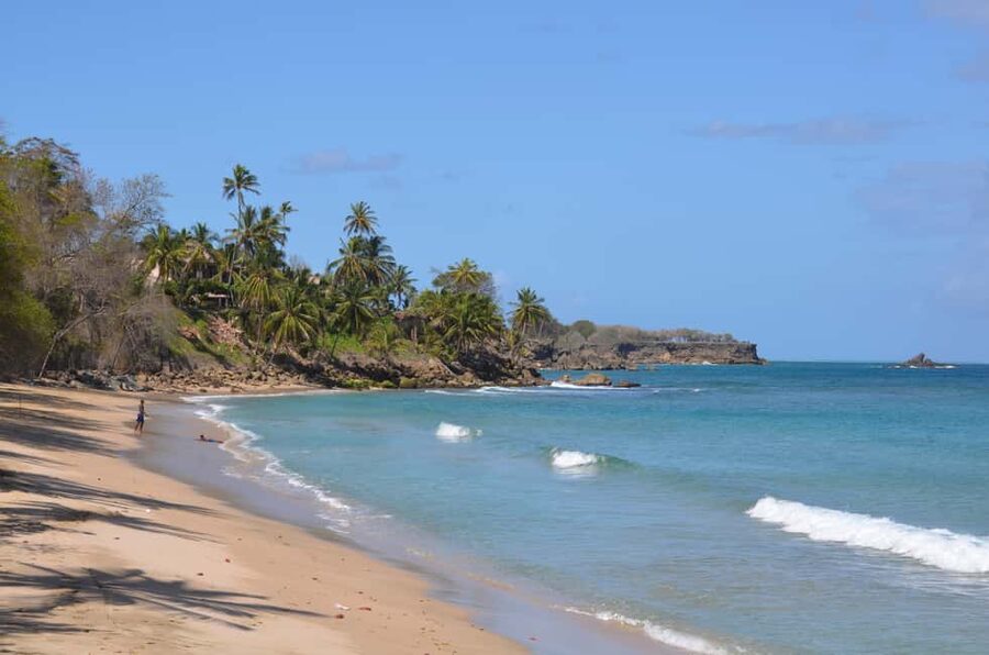 Tobago: Half-Day Highlights Tour - Key Highlights You Should Actually Plan Around