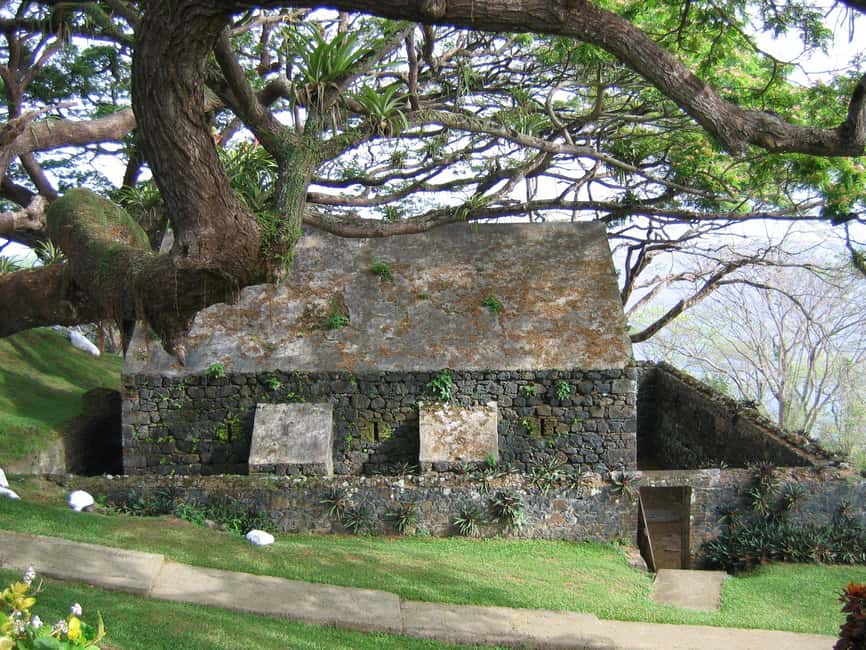 Tobago: Half-Day Highlights Tour - Why This Half-Day Loop Works for First-Timers