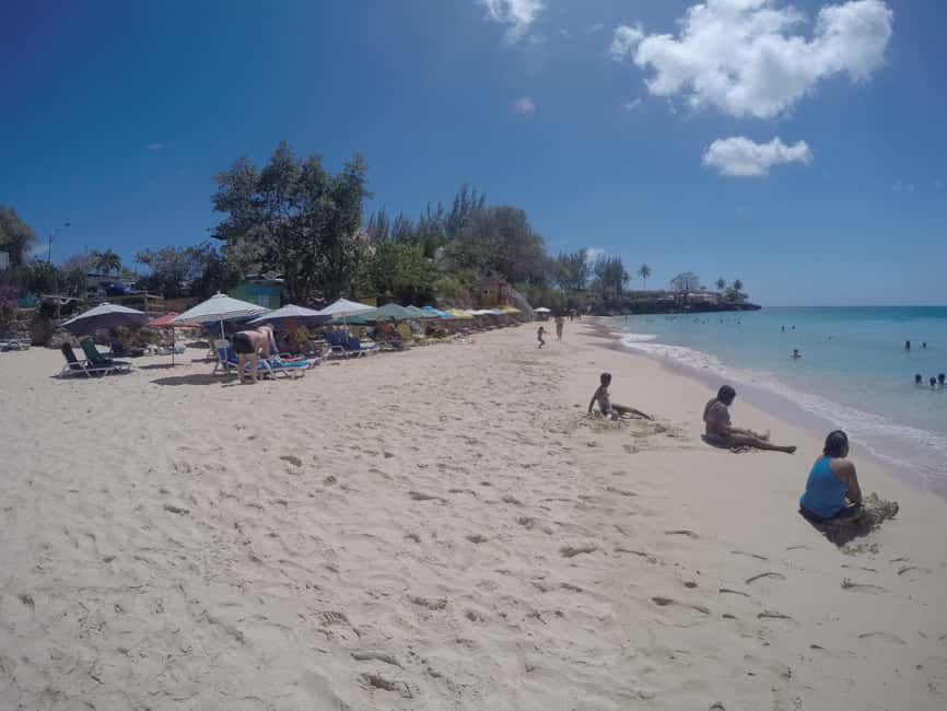 Tobago: Half-Day Highlights Tour - Botanical Gardens and Colorful Walks on Tobago’s Slower Side