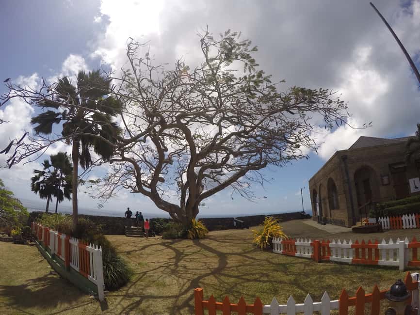 Tobago: Half-Day Highlights Tour - Final Call: Should You Book This Tobago Highlights Tour?