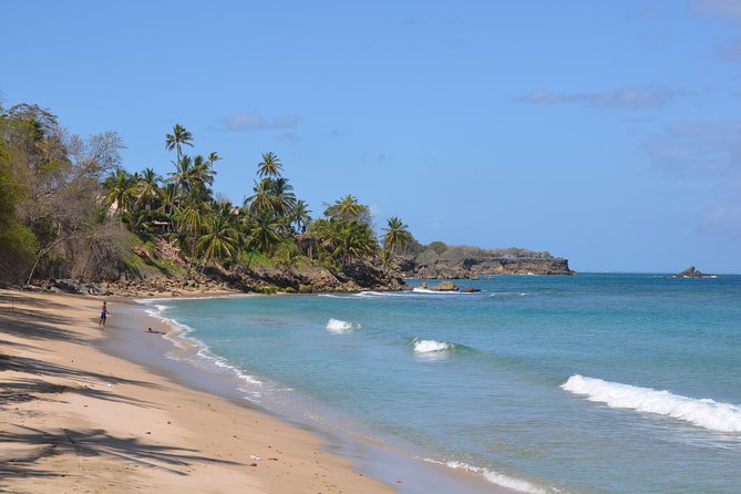 Tobago Island Tour - Key things to know before you go