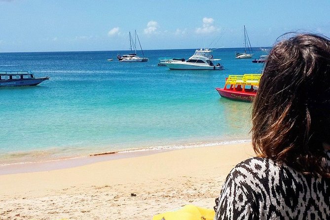 Tobago Island Tour - Starting point in Scarborough, then Fort King George for context
