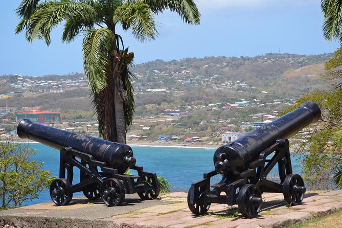 Tobago Island Tour - The Northside Road route: villages, pace, and photo stops