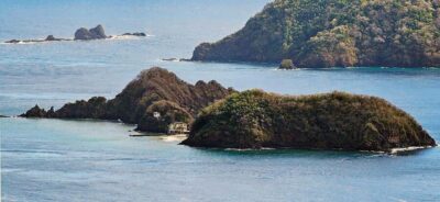 Little Tobago Bird Sanctuary Visit and Boat Tour