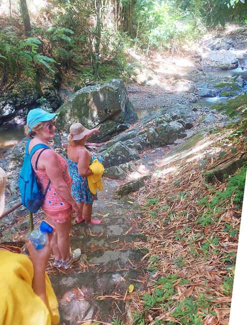 Tobago: Little Tobago Bird Sanctuary Visit and Boat Tour - Argyle Waterfalls: The Walk, the Swim, and the Big Payoff