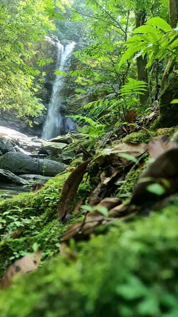 Trinidad: Avocat Waterfall and Maracas Bay Beach Tour - Key highlights at a glance