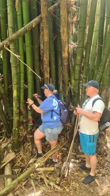 Trinidad: Avocat Waterfall and Maracas Bay Beach Tour - Should you book this Avocat Waterfall and Maracas Bay tour?