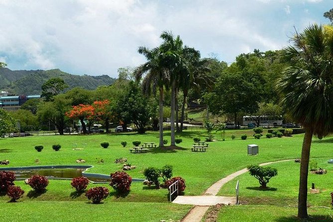 Trinidad Highlights Tour from Port of Spain - Fort George: the 236-foot viewpoint that makes the tour feel worth it