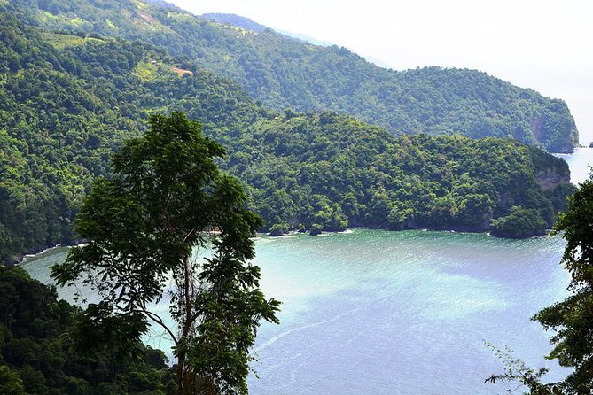 Trinidad Highlights Tour from Port of Spain - Who this tour fits best (and who should look elsewhere)