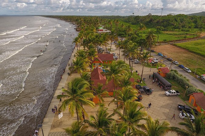 Trinidad Island Circle Tour with Pickup - Manzanilla: Turtle Nesting Terrain, Mangroves, and Coconut Country
