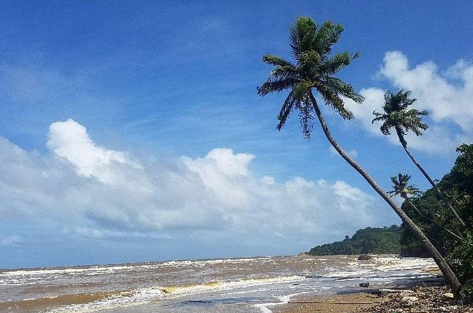Trinidad Island Circle Tour with Pickup - Bush Bush Wildlife Sanctuary: Capuchins and Howlers at Human Distance