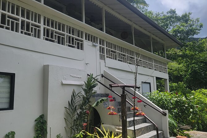 Trinidad Nature and Asa Wright Center Full-Day Tour from Port of Spain - The guided rainforest nature walk, plus tegu lizards and agouti