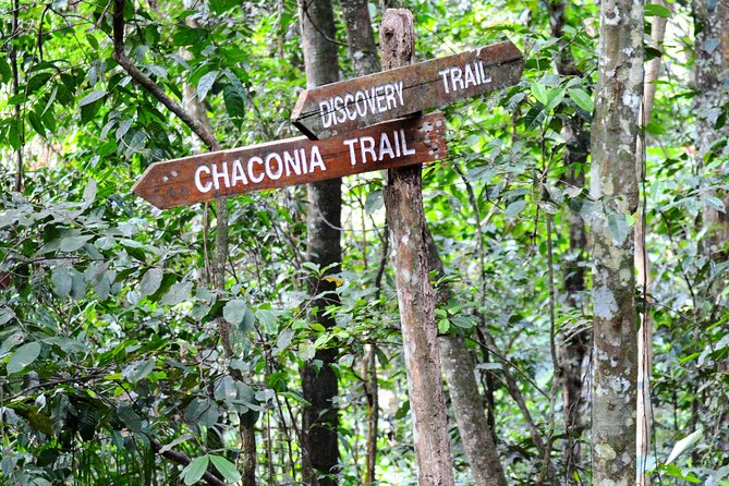 Trinidad Nature and Asa Wright Center Full-Day Tour from Port of Spain - Natural fresh water pool swim time
