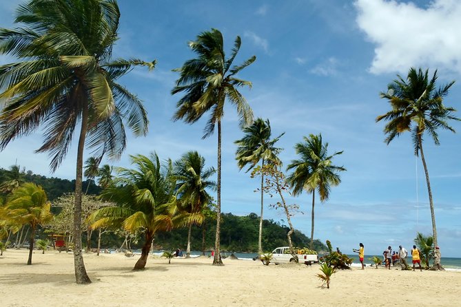 Trinidad Northern Eco-Cultural Full-Day Highlights Tour from Port of Spain - Guides Make the Day: Why You Should Care About Names Like Junior, Khalil, and Denton