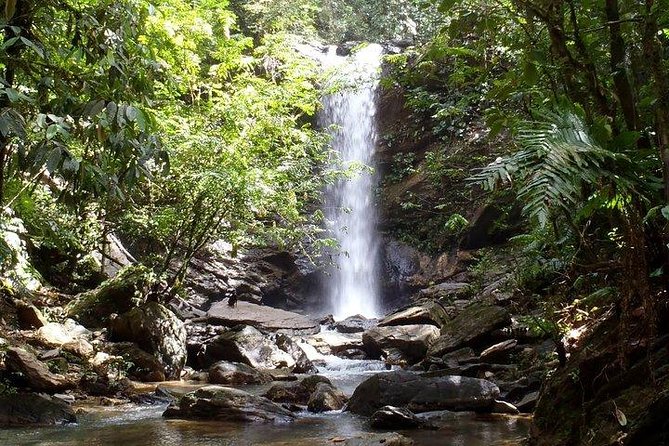Trinidad Rainforest Hike to Waterfall - Key things that make this waterfall hike worth it