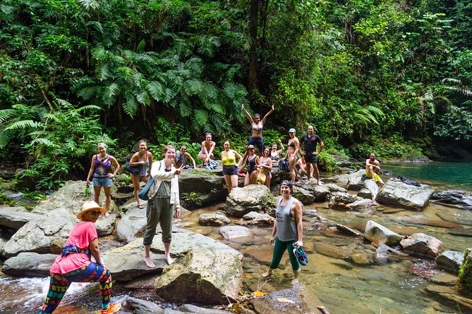 Trinidad Rainforest Hike to Waterfall - The Avocat Waterfall hike: where the rainforest earns its keep