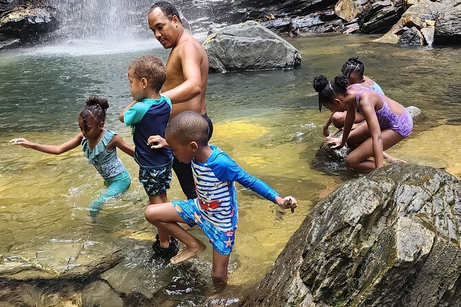 Trinidad Rainforest Hike to Waterfall - River crossing and rainforest footing: the safety mindset that helps