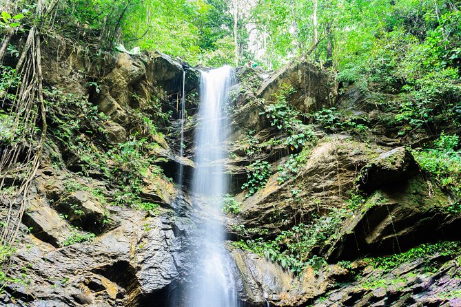 Trinidad Rainforest Hike to Waterfall - Las Cuevas Beach: views and a flexible finish