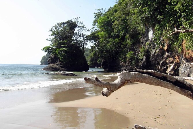 Trinidad True North Coast Excursion - 100 Steps Beach: a quieter, nature lover style pause