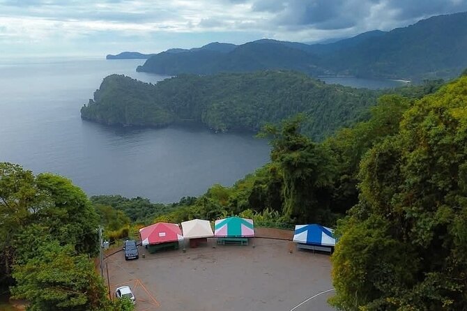 Trinidad True North Coast Excursion - Starting from Port of Spain: city flavor before the coastline