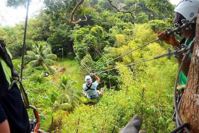 Trinidad Zipline Adventure - Key Highlights You Will Actually Care About