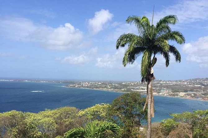 VIP Inclusive Private Tour of Island (Lunch, Drinks + Snorkeling) - Key things to know before your Tobago VIP day