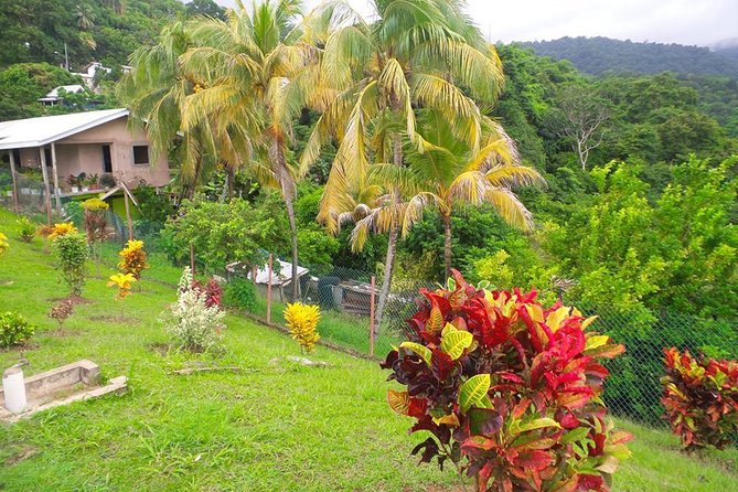 VIP Inclusive Private Tour of Island (Lunch, Drinks + Snorkeling) - Speyside Lookout: Goat Island (Ian Fleming) and Paradise Island views