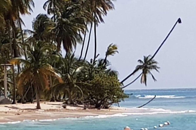 VIP Inclusive Private Tour of Island (Lunch, Drinks + Snorkeling) - Pirate’s Bay and Pink Sand Beach: the best part is the boat ride